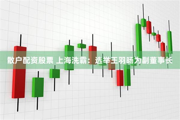 散户配资股票 上海洗霸：选举王羽旸为副董事长