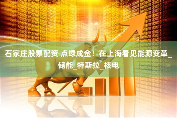 石家庄股票配资 点绿成金！在上海看见能源变革_储能_特斯拉_核电